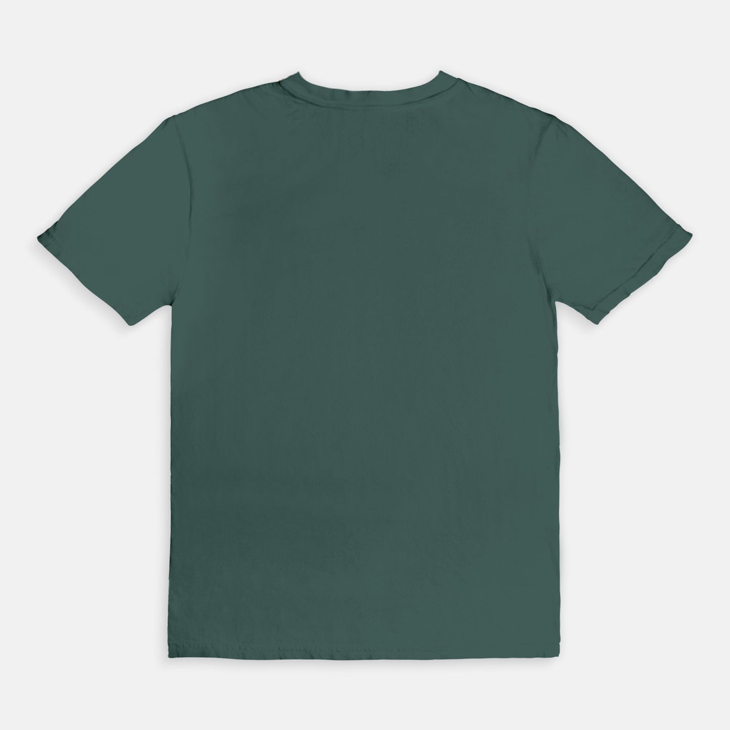 Proverbs Motherhood Vintage Tee