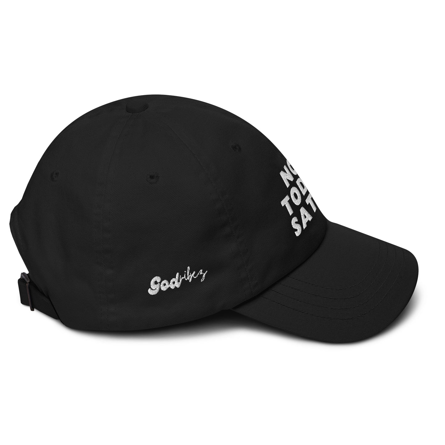 Not Today Satan Dad hat